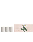 ECOYA Limited Edition Mini Ceramic Madison Set
